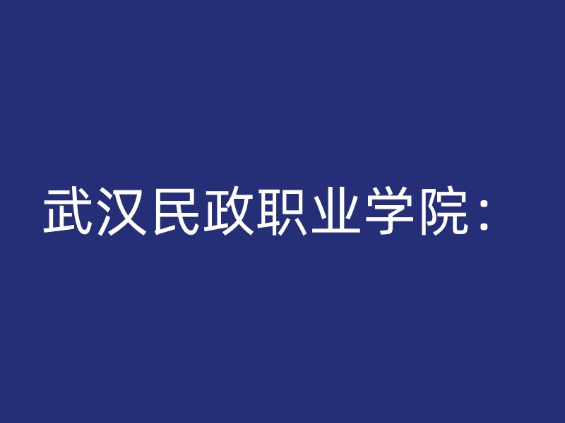 武汉民政职业学院：