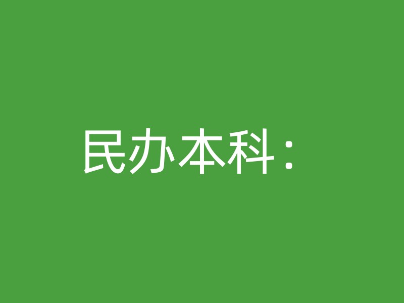 民办本科：