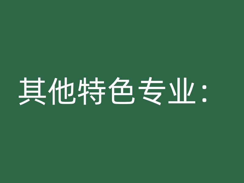 其他特色专业：