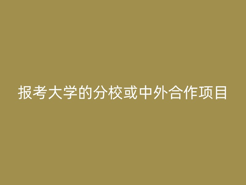 报考大学的分校或中外合作项目