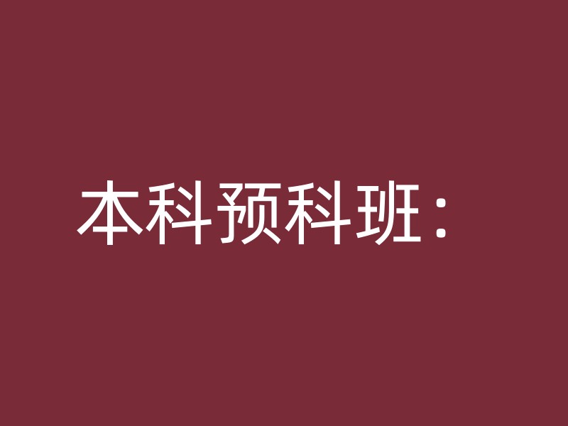 本科预科班：