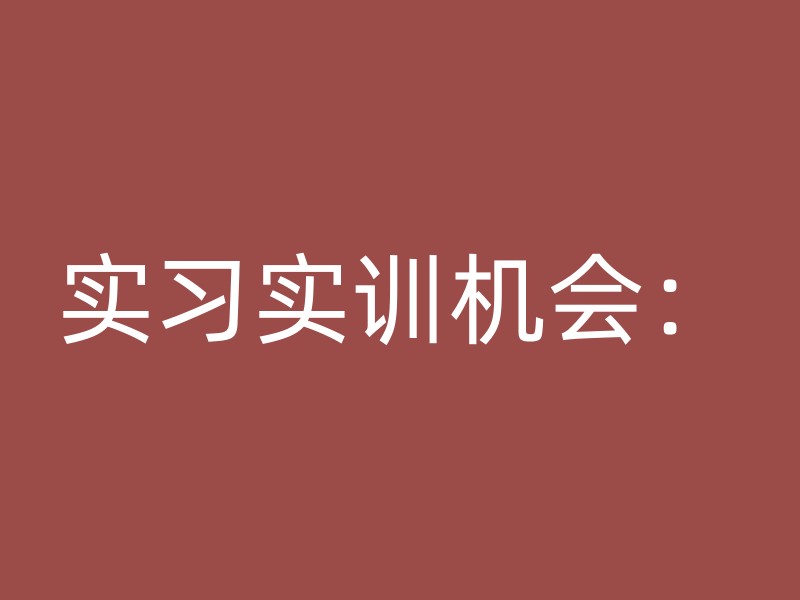 实习实训机会：