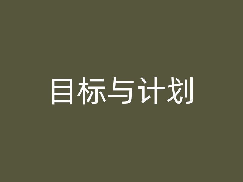 目标与计划