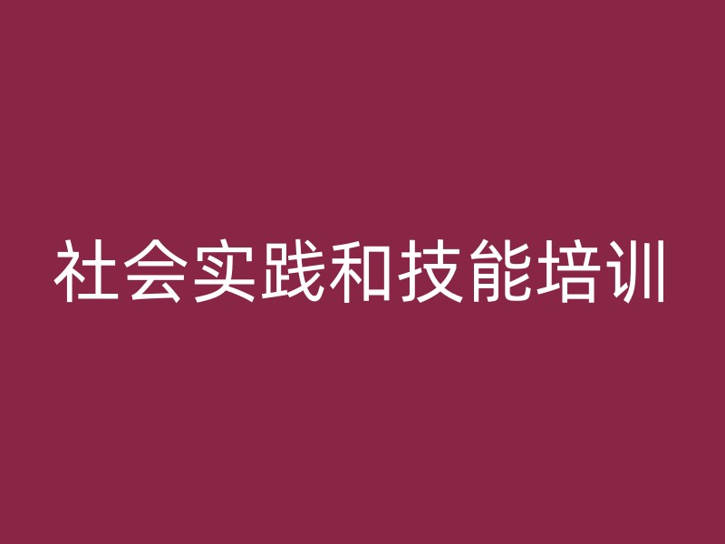 社会实践和技能培训