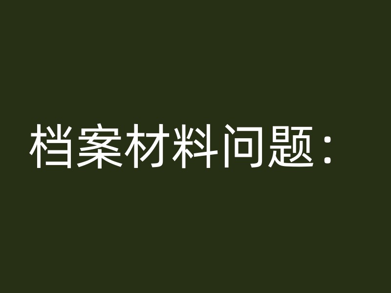 档案材料问题：