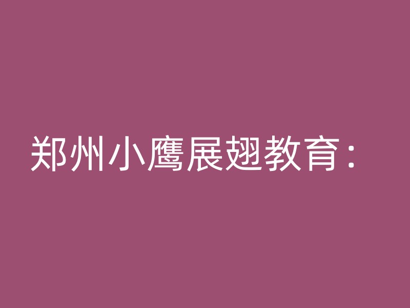 郑州小鹰展翅教育：