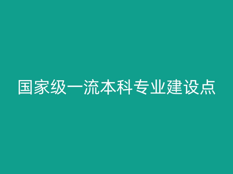 国家级一流本科专业建设点