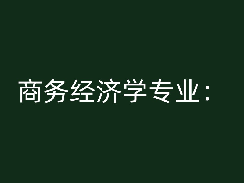 商务经济学专业：