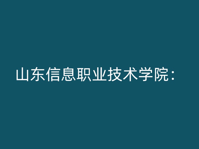 山东信息职业技术学院：