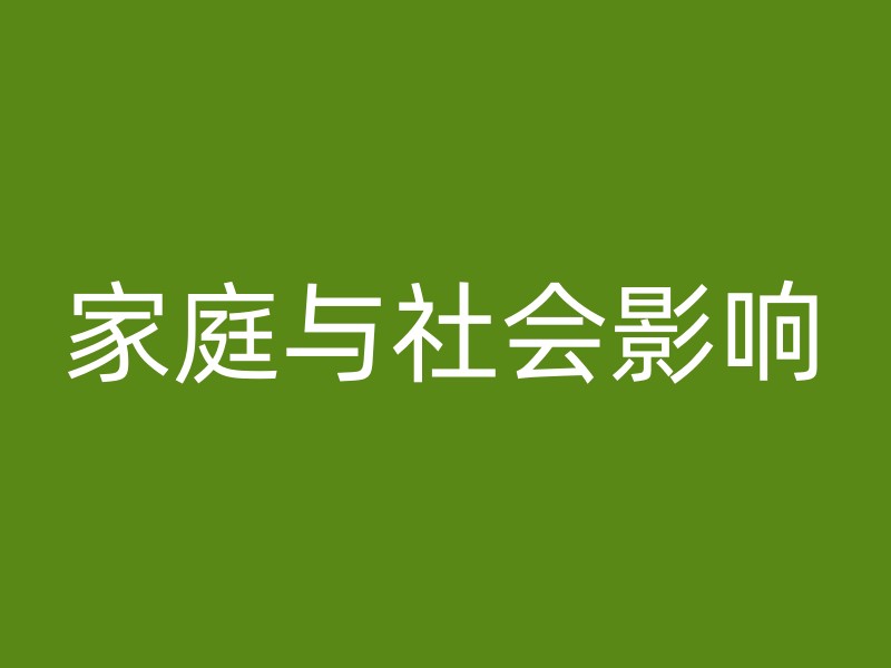 家庭与社会影响