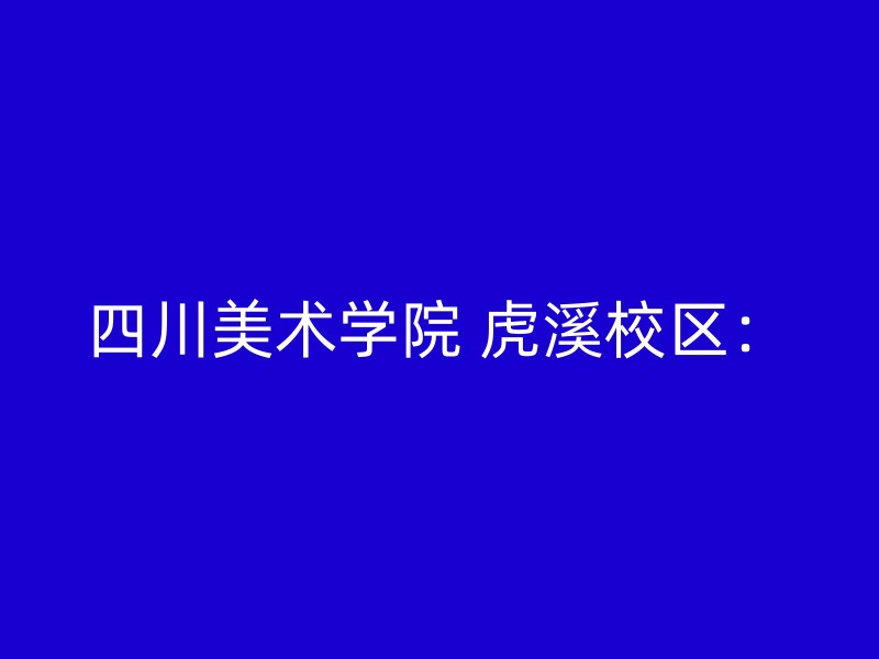 四川美术学院 虎溪校区：