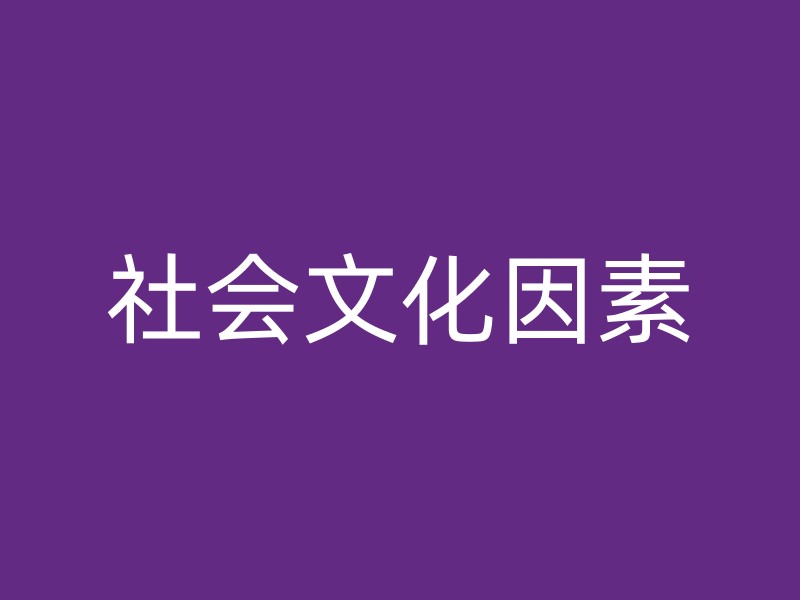 社会文化因素