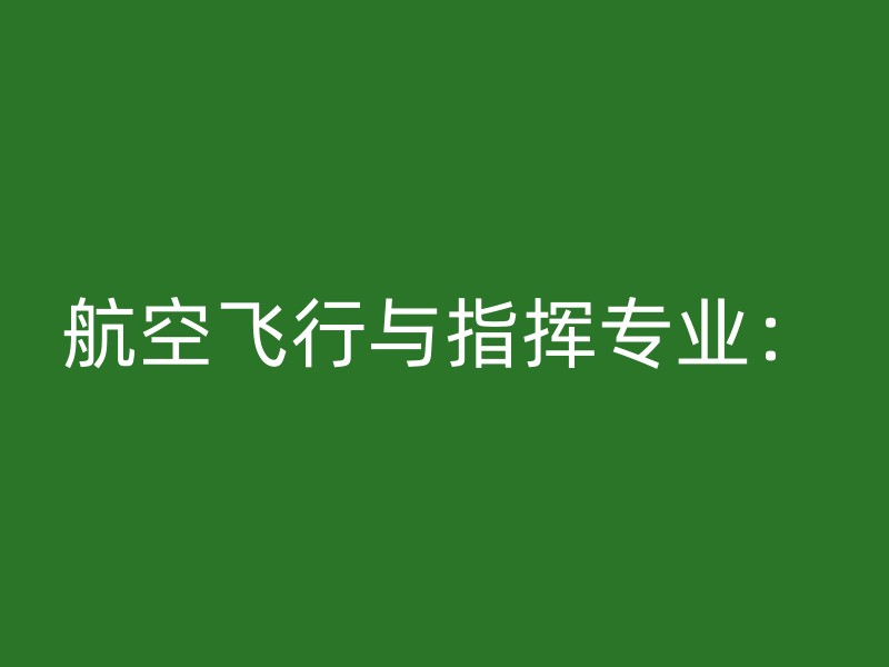 航空飞行与指挥专业：