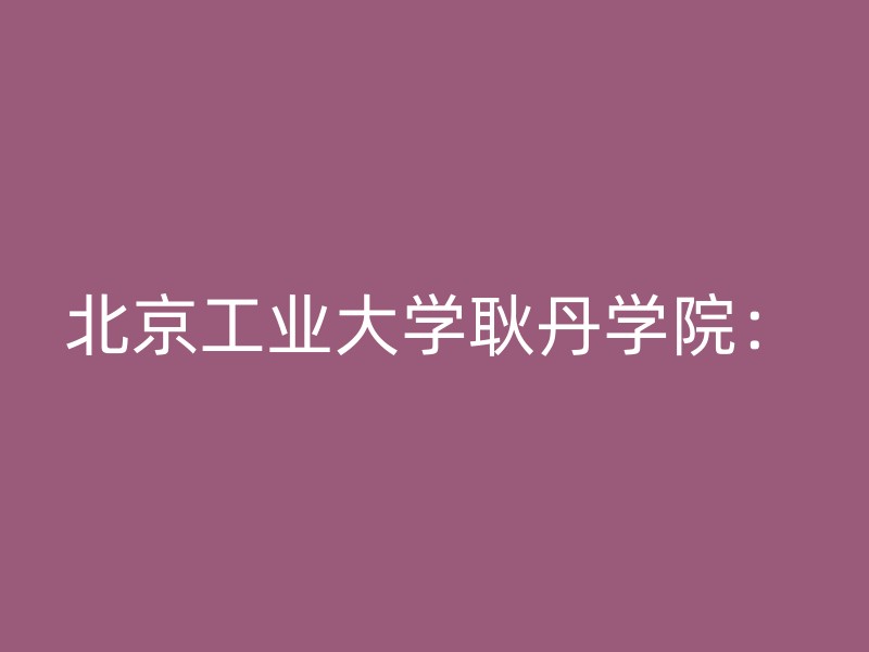 北京工业大学耿丹学院：