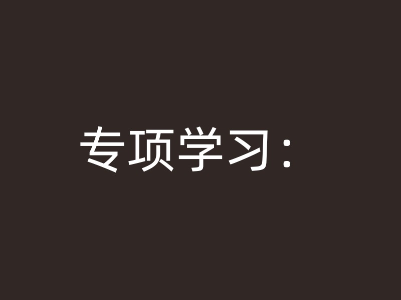 专项学习：