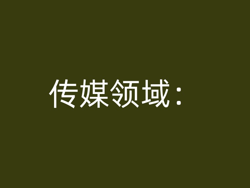 传媒领域：