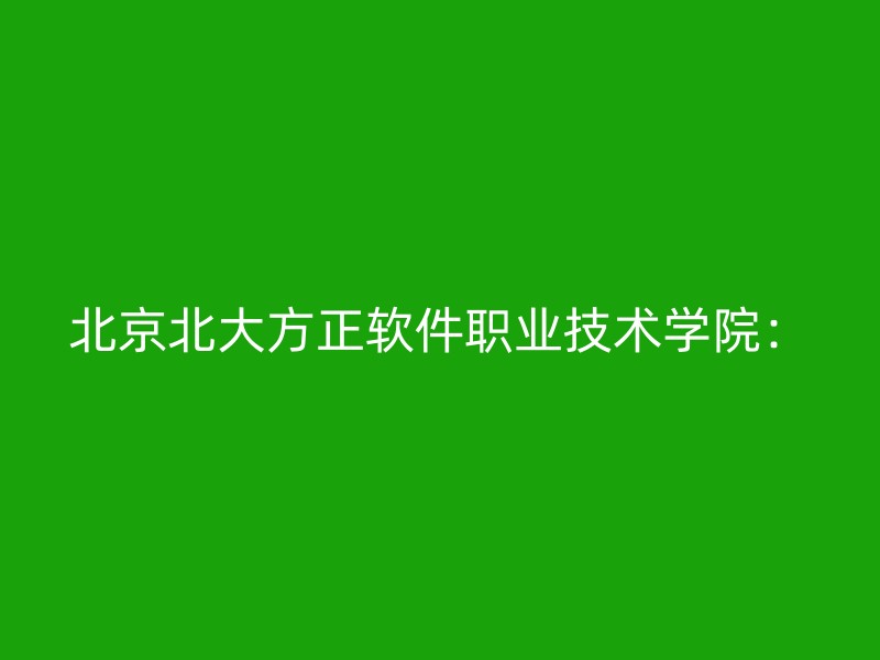 北京北大方正软件职业技术学院：