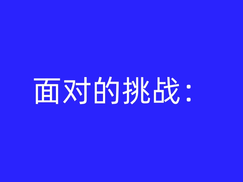 面对的挑战：