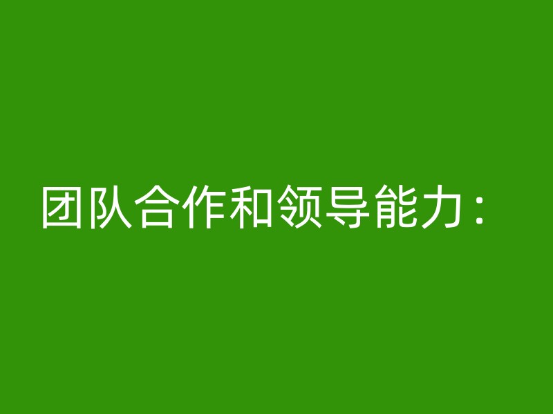 团队合作和领导能力：