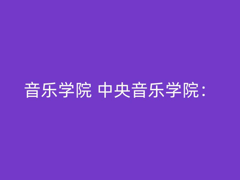 音乐学院 中央音乐学院：