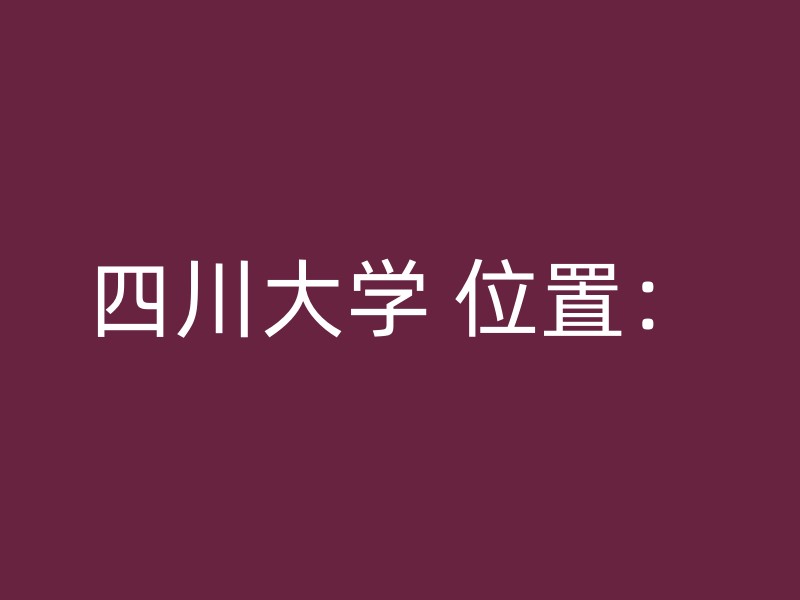 四川大学 位置：