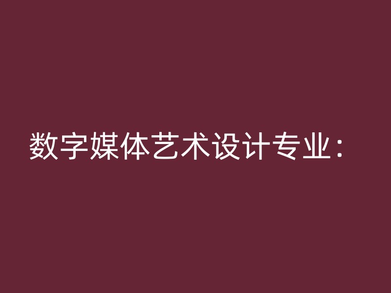 数字媒体艺术设计专业：