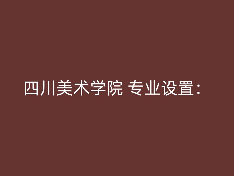 四川美术学院 专业设置：