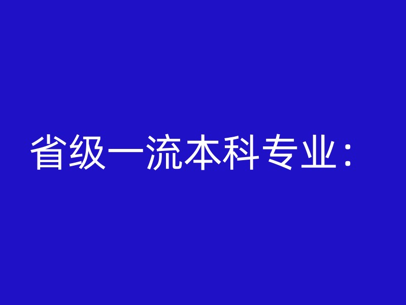 省级一流本科专业：