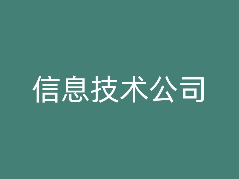 信息技术公司