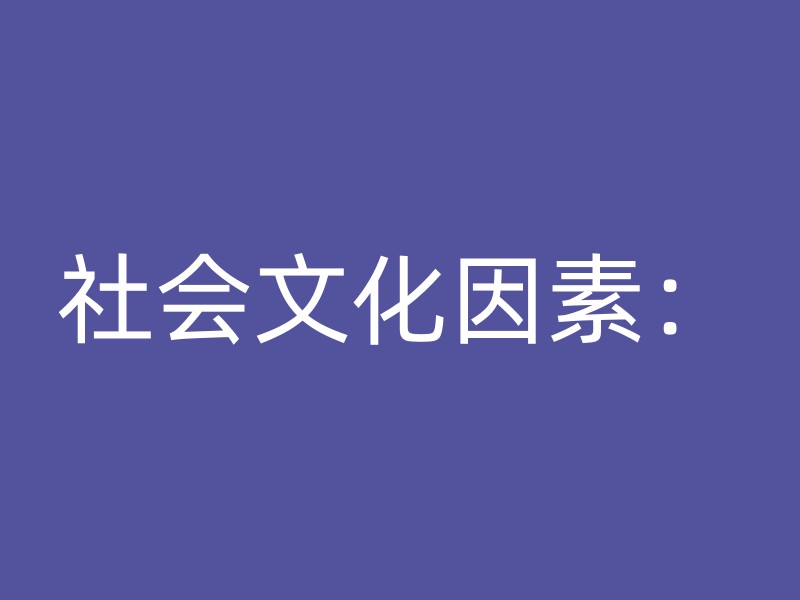 社会文化因素：