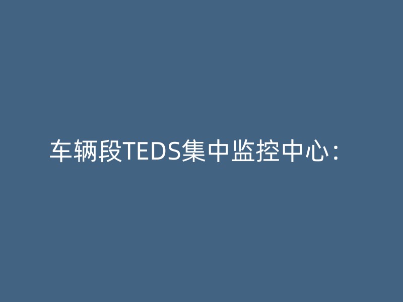 车辆段TEDS集中监控中心：