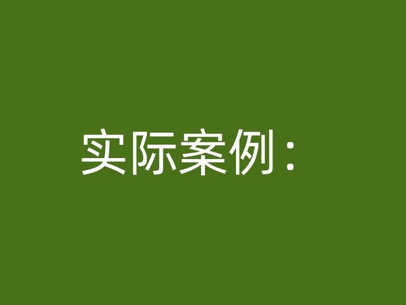 实际案例：