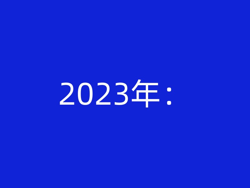 2023年：