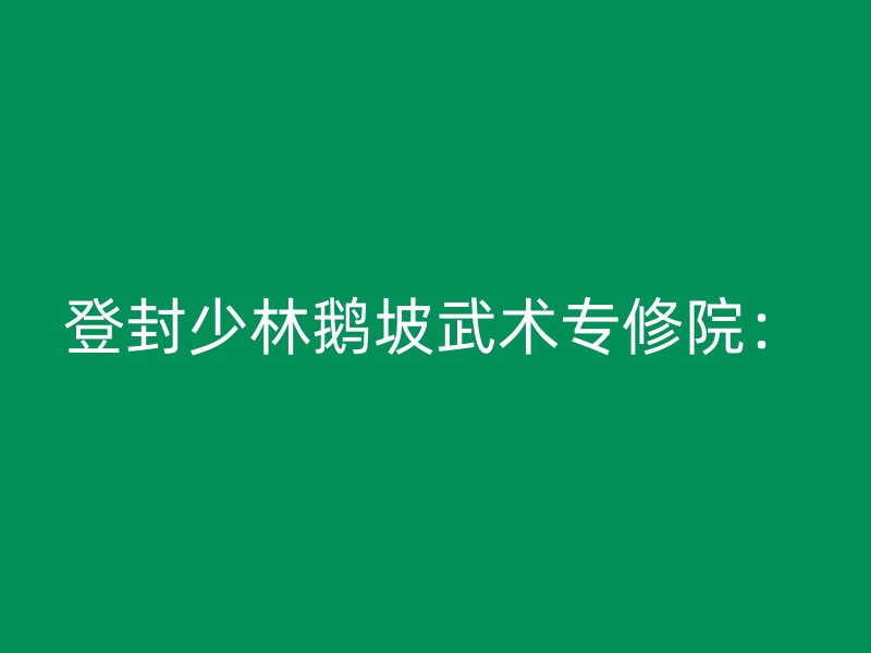 登封少林鹅坡武术专修院：