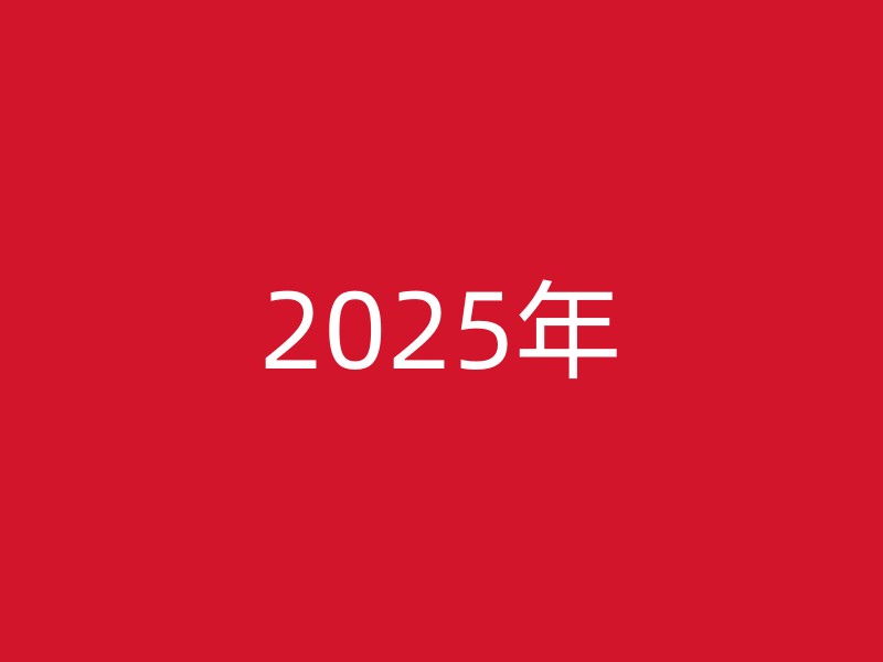 2025年