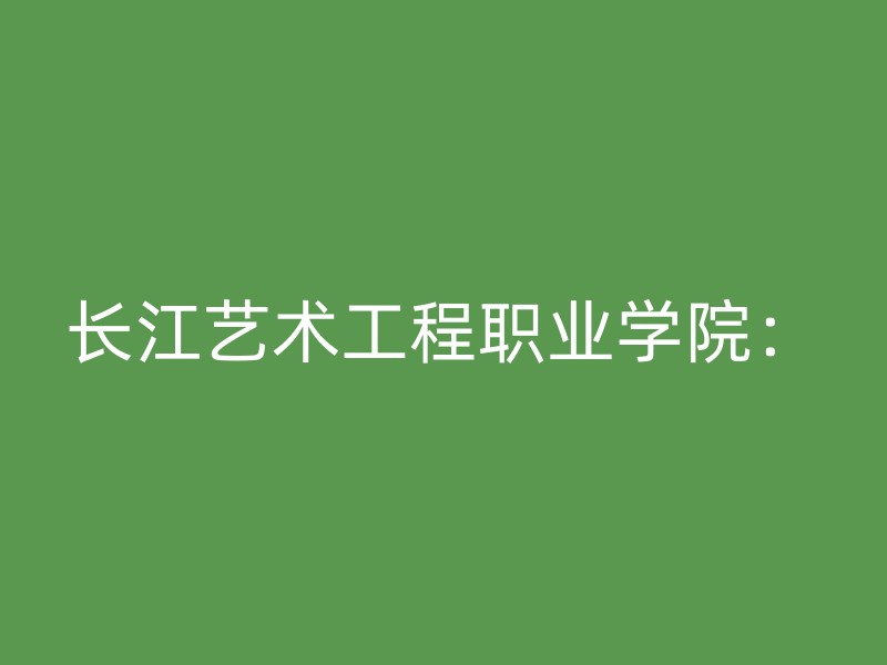 长江艺术工程职业学院：