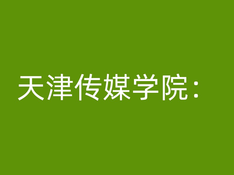 天津传媒学院：