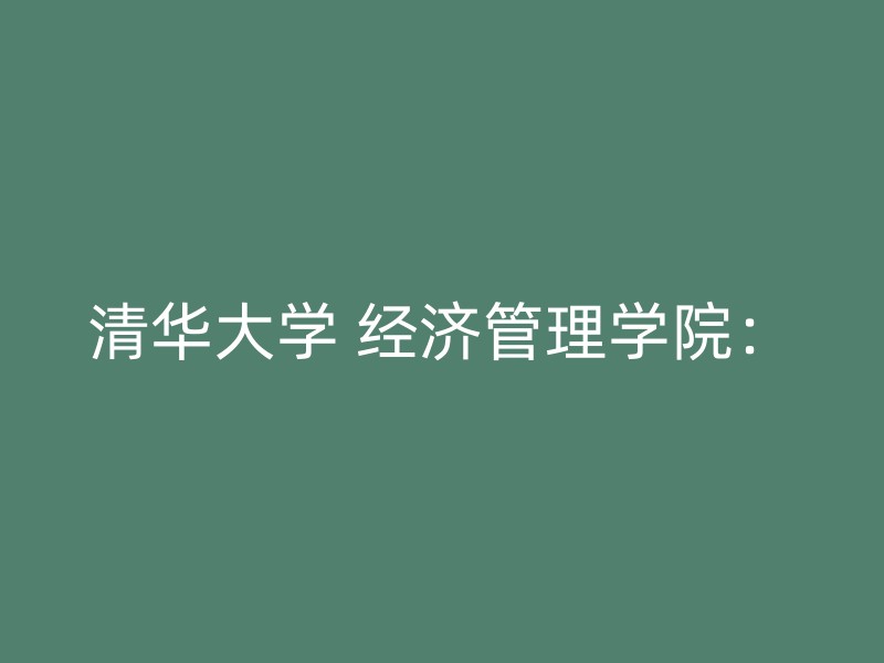 清华大学 经济管理学院：