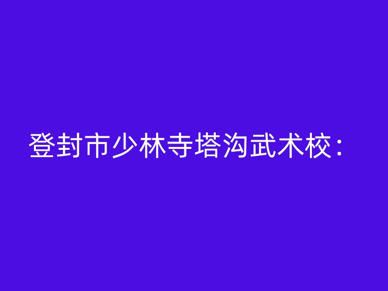 登封市少林寺塔沟武术校：