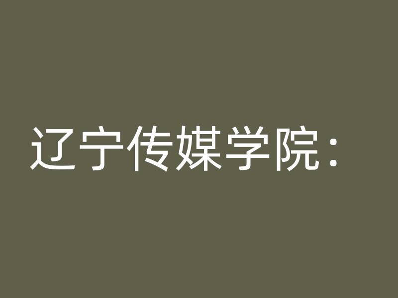 辽宁传媒学院：