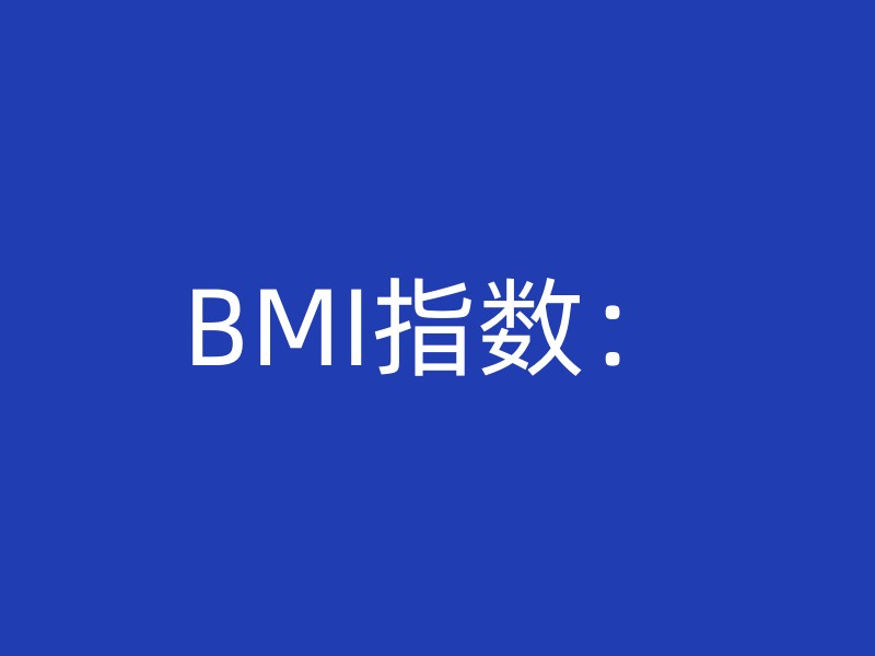 BMI指数：