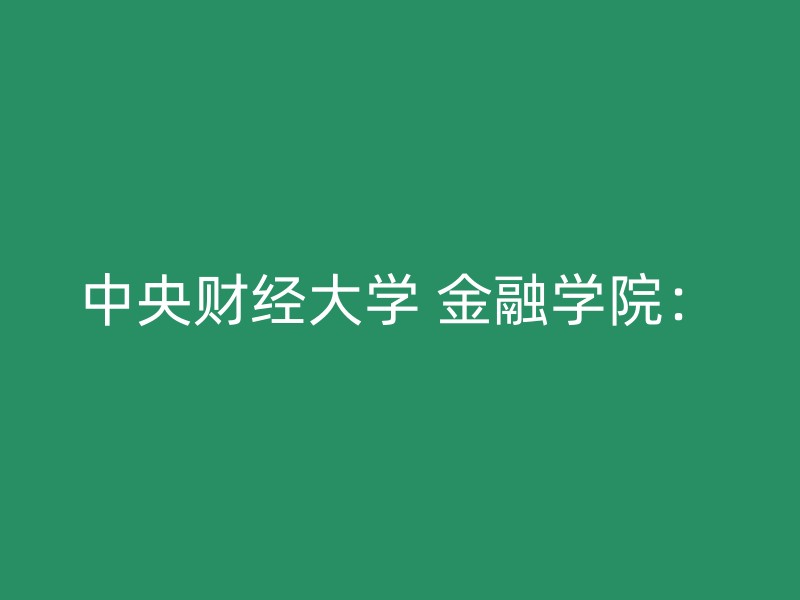 中央财经大学 金融学院：