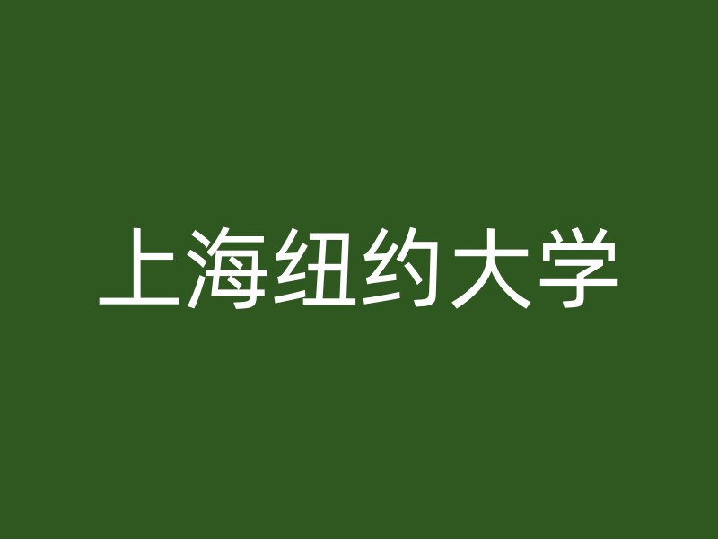 上海纽约大学