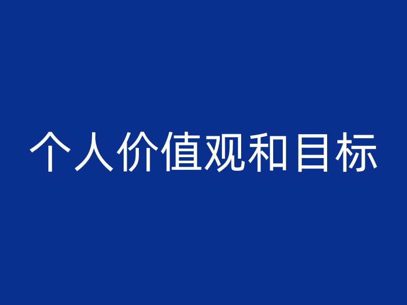 个人价值观和目标