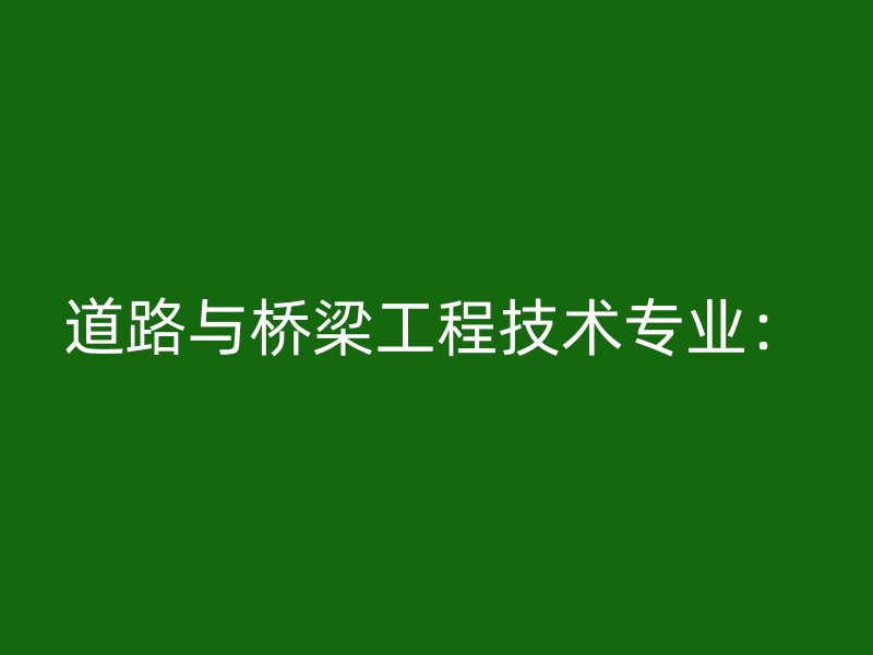 道路与桥梁工程技术专业：