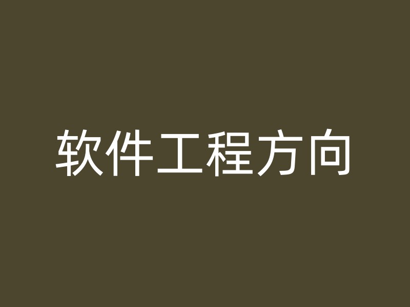 软件工程方向