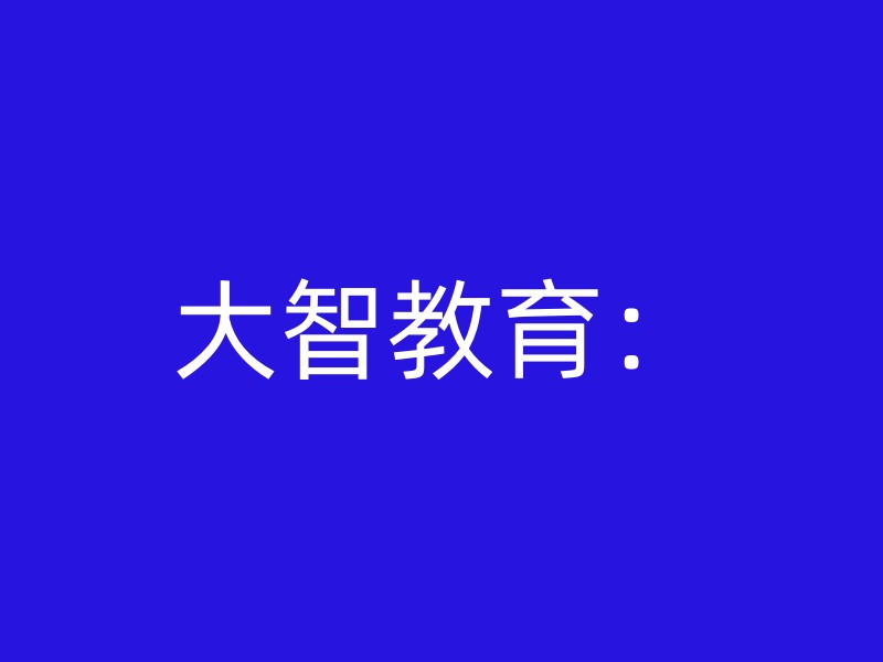 大智教育：