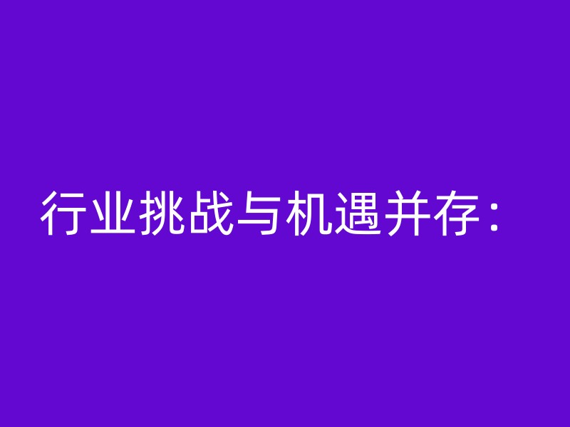 行业挑战与机遇并存：