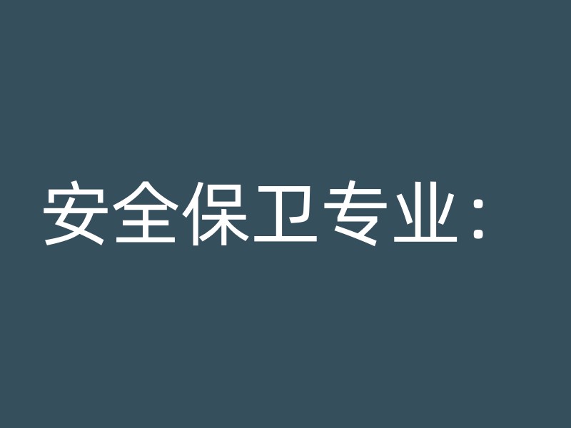 安全保卫专业：