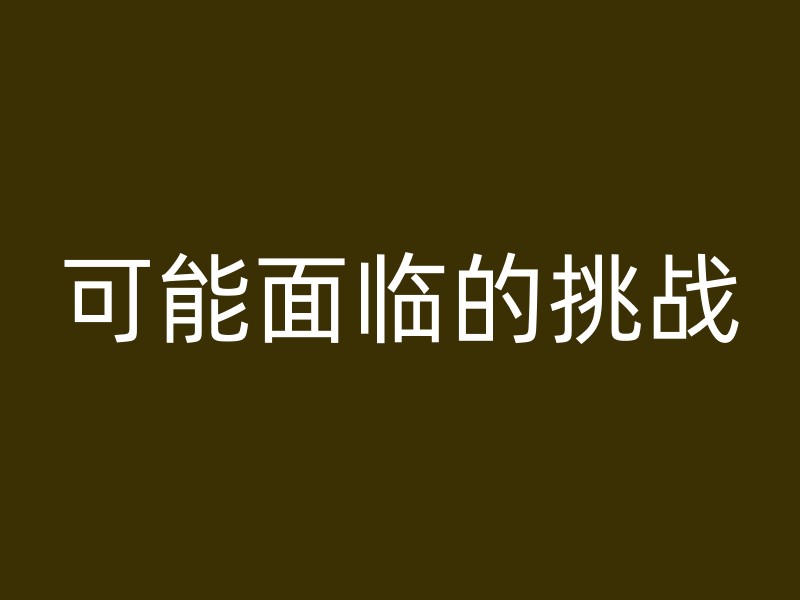 可能面临的挑战